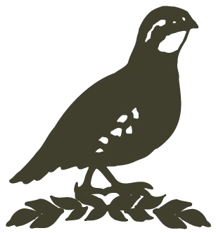 Brays Island Stewardship Fund bird emblem